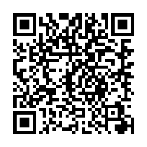 马文不动神色地在门窗附近都布置了一个粗略的报警机关后二维码生成