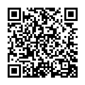 马文不惜将大量的杀戮经验投入到游侠这个职业当中二维码生成