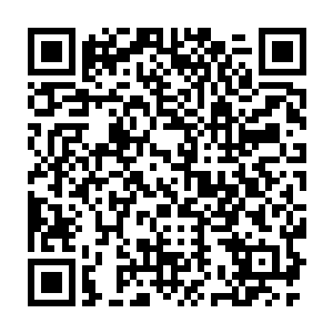 马文也不可能一直将自己宝贵的时间投入到候鸟议会的任务当中去二维码生成
