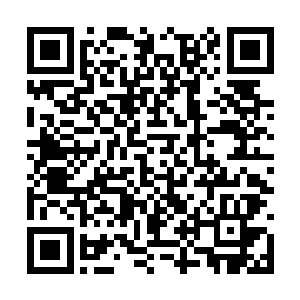 马文却还在为世界树剪除这片腐烂的叶子而努力着二维码生成