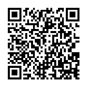 马文发现遍布在别墅庄园周围的暗哨岗位额外的多二维码生成