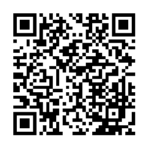 马文和那两名魅影刺客就轻而易举地灭掉了米勒家外的所有暗哨二维码生成