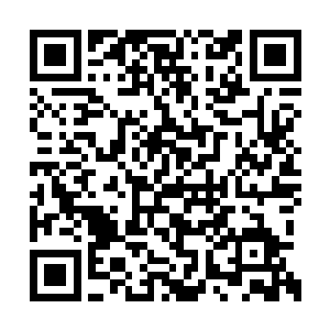 马文咬牙切齿地说出了这个令人闻风丧胆的名词二维码生成