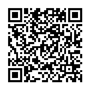 马文在发现它的第一时间脑子里就浮现出了这样的计划二维码生成