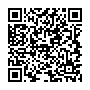 马文在敏捷方面的身体素质已经达到了人类的极限二维码生成