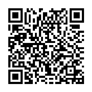 马文如果不是知道候鸟议会手里有世界之树的种子二维码生成