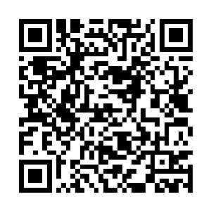 马文对这个世界的理解肯定是比常人要高上一筹的二维码生成