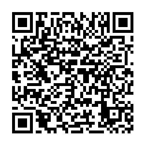 马文对露露也有处置权――只不过这个权力的优先度在马戈尔学院之后二维码生成