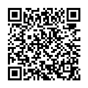 马文将两本书连带着法术书一同用一块桌布包好二维码生成