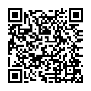 马文将那头在森林边缘抓到的使魔交给了候鸟议会二维码生成