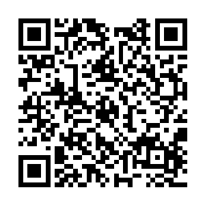 马文就对这种粉红色的液体有了一个大致上的了解二维码生成