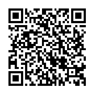 马文差点就相信候鸟议会真的是对无尽之洋做出那样的审判了二维码生成