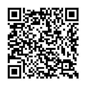 马文怎么都不放心一个半海盗半水手出身的家伙二维码生成