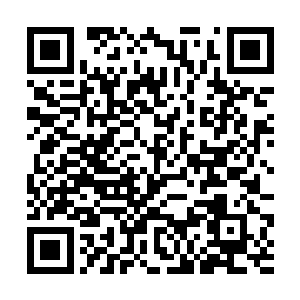 马文想不出还有别的人能在夜间躲过夜行人的感知了二维码生成