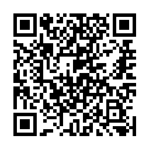 马文想要守护尖叫山脉以南这一块地区自问还是可以做得到二维码生成