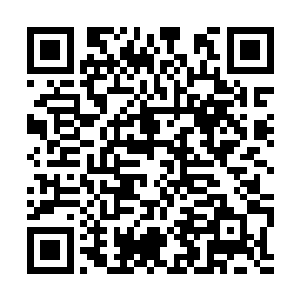 马文扫了一眼数据面板上总额高达十五万的经验值二维码生成