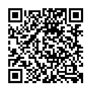 马文有些好奇地看着卡塞缪尔外的一块告示牌旁聚集的大堆人手二维码生成