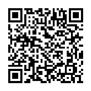 马文毫不犹豫地将九万九千点杀戮经验投入到了二维码生成