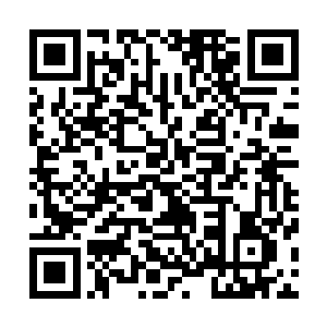 马文用了很大功夫才说服这个身体上残留的灵魂放弃主动权二维码生成