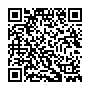 马文的实力已经可以和大精灵王等人相提并论了二维码生成