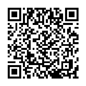 马文的情报开始源源不断送到了至高议会的手中二维码生成