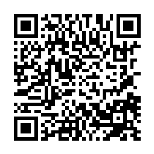 马文的脑海里不断闪过小精灵之前告诉自己的那些重要信息二维码生成