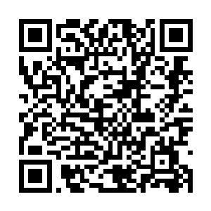 马文的脑海里浮现出前世费南大陆的游戏背景资料二维码生成