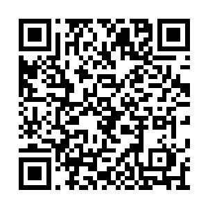 马文看着徘徊在苔藓地牢边缘的那几个邪灵骑士二维码生成