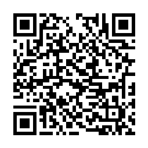 马文看着那些仿佛有生命一般的爬藤将一行人围住二维码生成