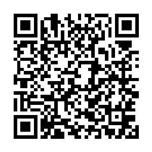 马文经常看见那些看着风光的巫师玩家们坐着魔毯呼啸而过二维码生成