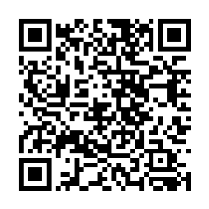 马文能感觉到整个白河谷地仿佛重新被注入了活力二维码生成