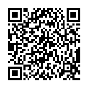 马文虽然不知道天命三姐妹手里的秩序火种从何而来二维码生成