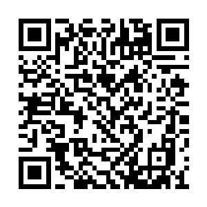 马文虽然没办法帮他们完全抵挡地底生物的偷袭二维码生成