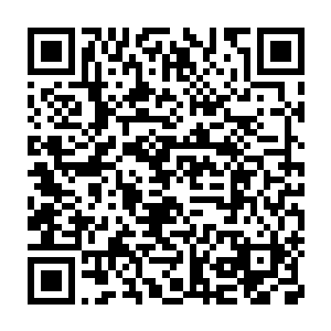 马文虽然记得拉维斯是北地少数几个在大灾变之后仍然屹立不倒的国度二维码生成