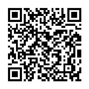 马文认识的所有传奇朋友都在北方和双蛇教作战二维码生成