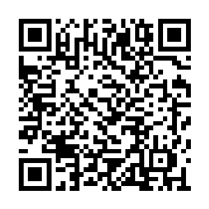 马文起码需要找三名大鉴定师才能一一鉴定出来二维码生成