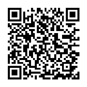 马文还有信心凭借诸多宝物和强大的传奇职业特性杀掉他们二维码生成