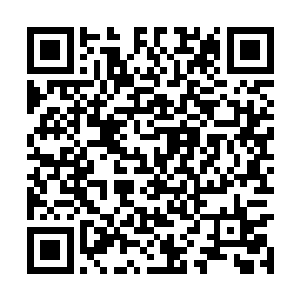 马文选择攻击其他部位的原因是――他是冲过来的二维码生成