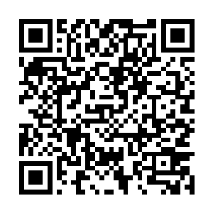 马文饶有兴趣地看着眼前这只跟老鼠差不多的生物二维码生成