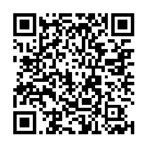 马文高新聘请了这两位老兵作为白河谷地警备队的教官二维码生成