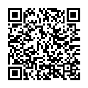 马特一看贝海望的方向就知道船长又在看艾娃干活了二维码生成