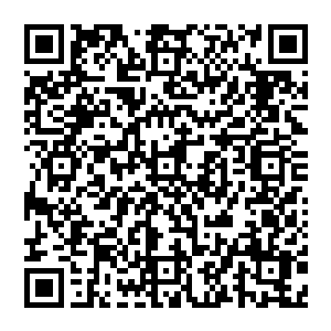 马特和齐一铭就当着贝海的面对着星号上的众人说起了今天捕到了渔获量还有箭号遇到鱼群的事情二维码生成