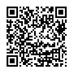 马特有点儿不明白为什么自己的船长这么怕面对媒体记者二维码生成