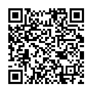 马特望着蹲在自己旁边两米远地方正轻松的装着铅坠的贝海说道二维码生成