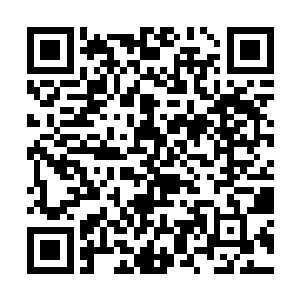 马特离的近一伸手就拿了起来问了一下对着贝海说道二维码生成