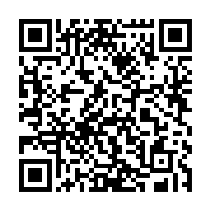 马特端起了茶杯也学着贝活的样子和齐一铭碰了一下二维码生成