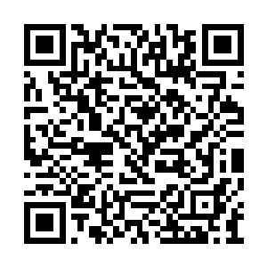 马的前蹄在将要踏到安寰脸上的时候被拉了回去二维码生成