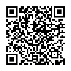 马纳拉索代表团的人看他的眼神跟看一个疯子没什么两样二维码生成