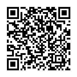 马纵横此下风风火火地带着一干文武来到了箕关敌楼之内二维码生成