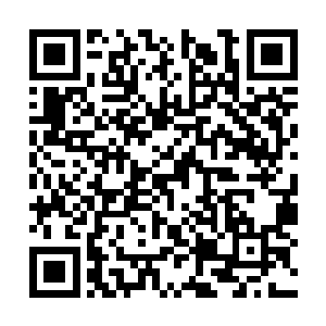 马纵横鬼神一般的眼眸霎时爆射出两道骇人的精光二维码生成